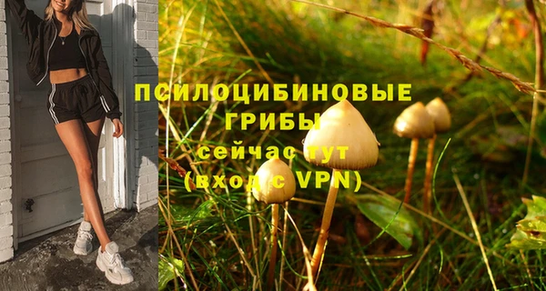 винт Остров