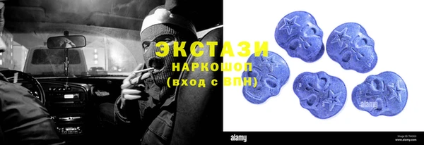 индика Костерёво