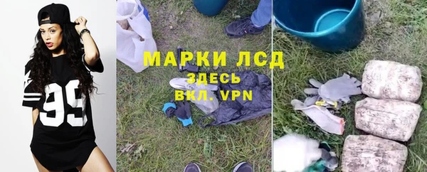 хмурый Осинники
