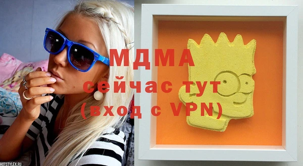 индика Костерёво