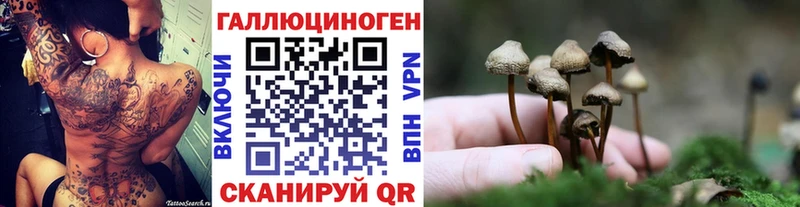 kraken ССЫЛКА  Партизанск  Галлюциногенные грибы Psilocybe  дарнет шоп 